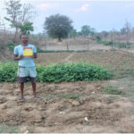 🌾 सफलता की कहानी: लाई बभनी नाला के एनीकट निर्माण से बदली किस्मत, आई हरियाली और समृद्धि की नई सुबह 🌿